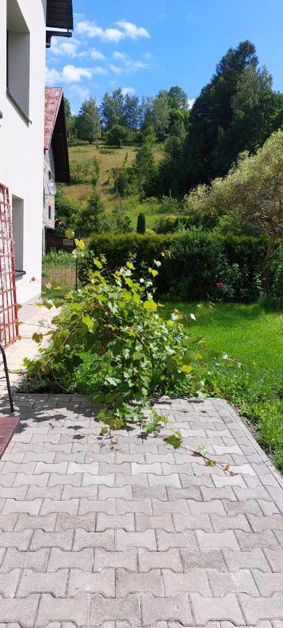 Apartamenty Montania Wisła Eksteriør billede